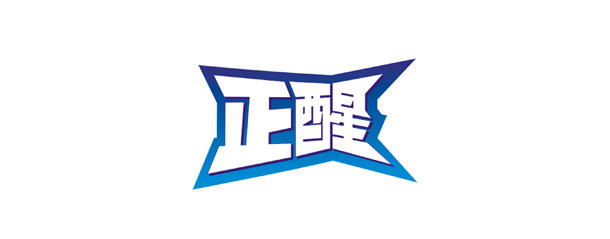 浦天下旗子品牌_正醒_LOGO設(shè)計(jì)