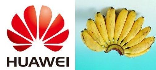 華為logo寓意