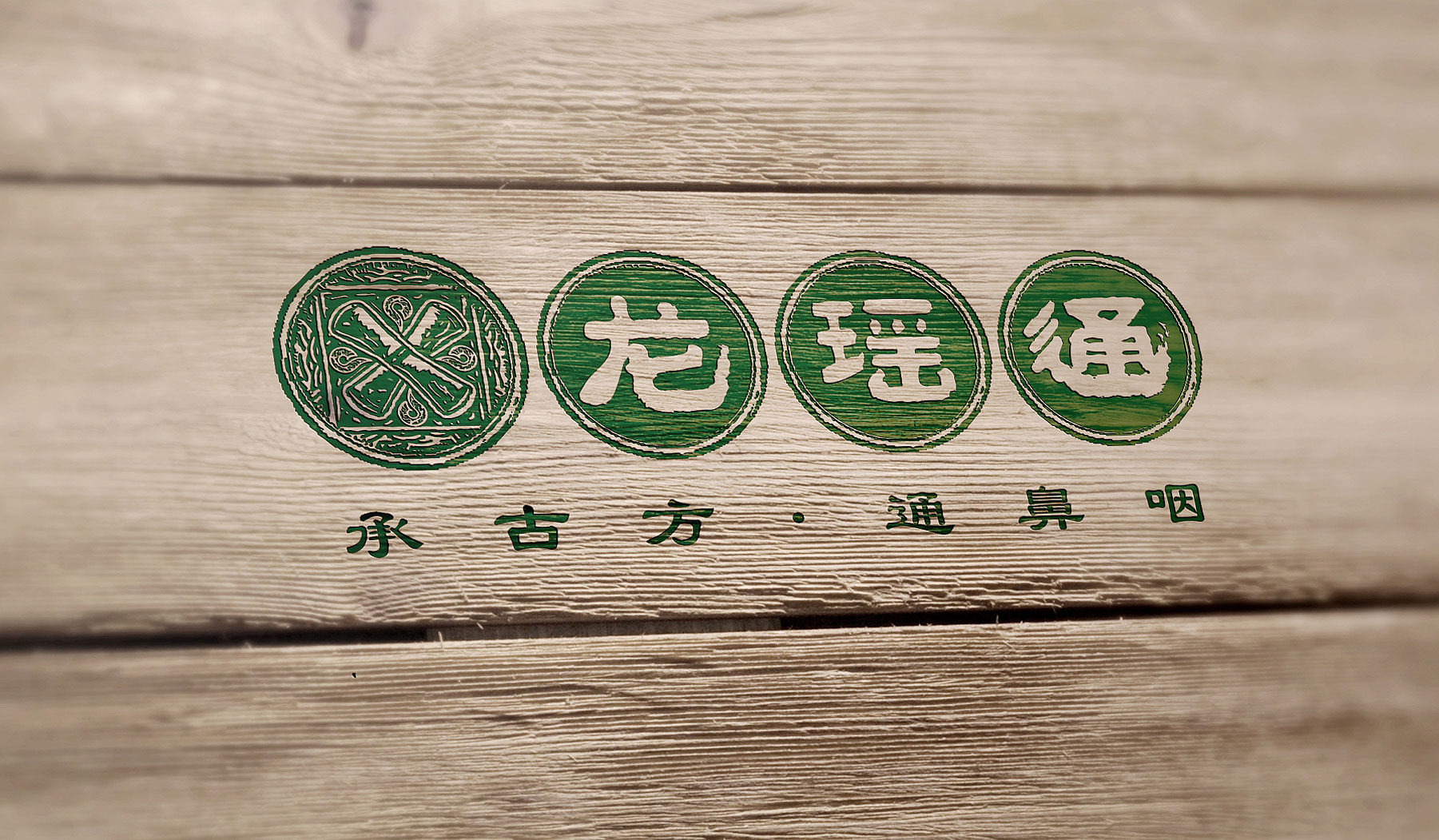 龍瑤通標(biāo)志設(shè)計整體展示