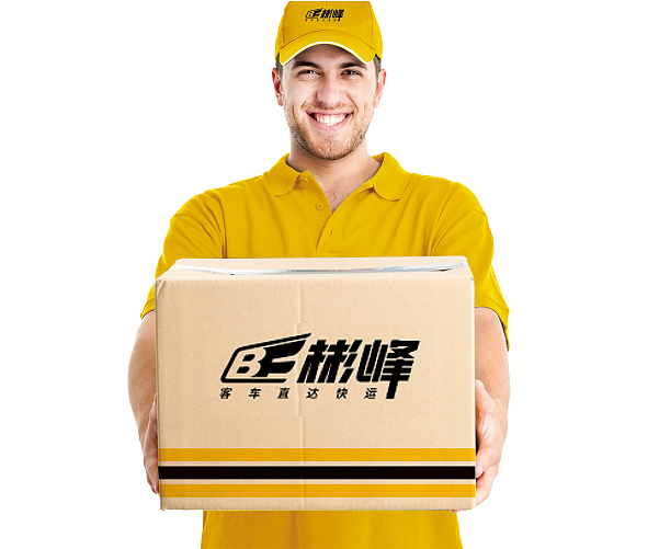 彬峰速遞品牌全案設(shè)計(jì)