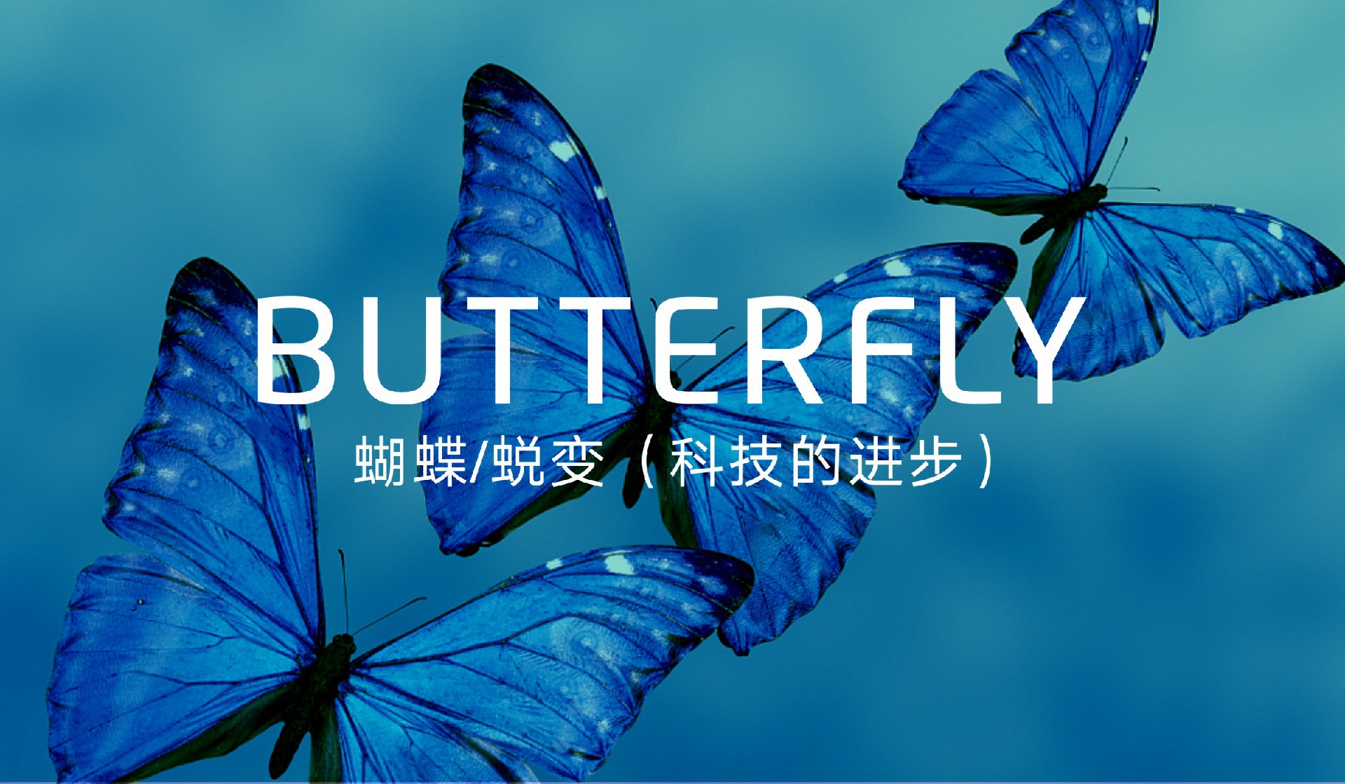 魔搭新品牌銳變形象設(shè)計(jì)