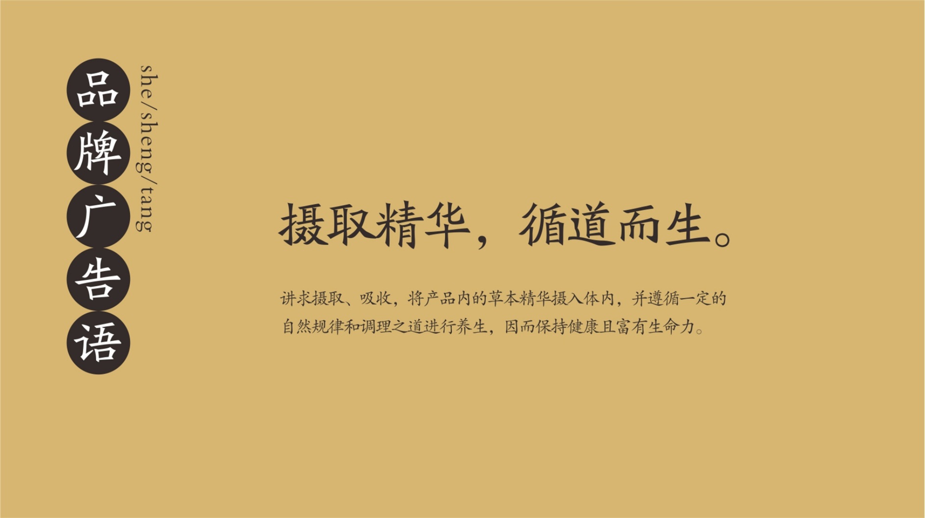 攝珍品牌創(chuàng)建策劃設計品牌廣告語