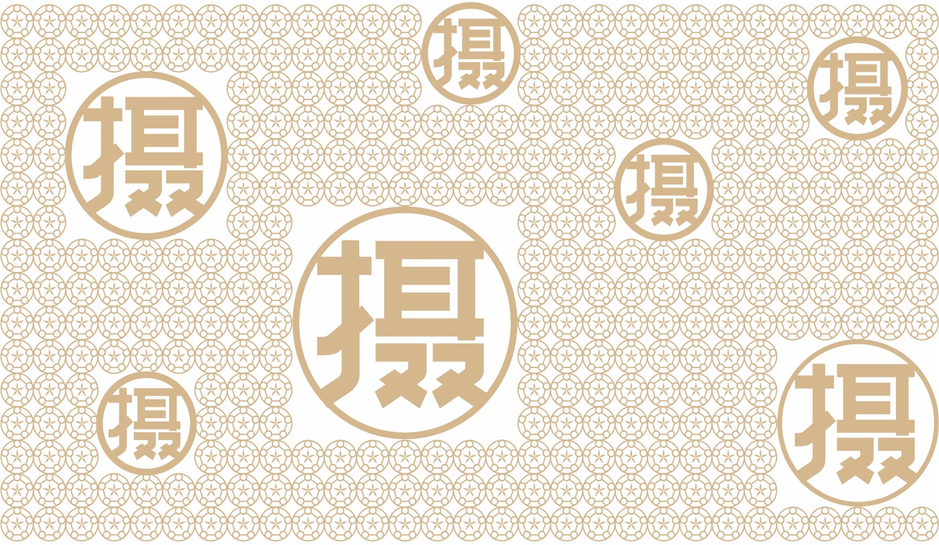 攝珍品牌創(chuàng)建策劃設計創(chuàng)意輔助元素