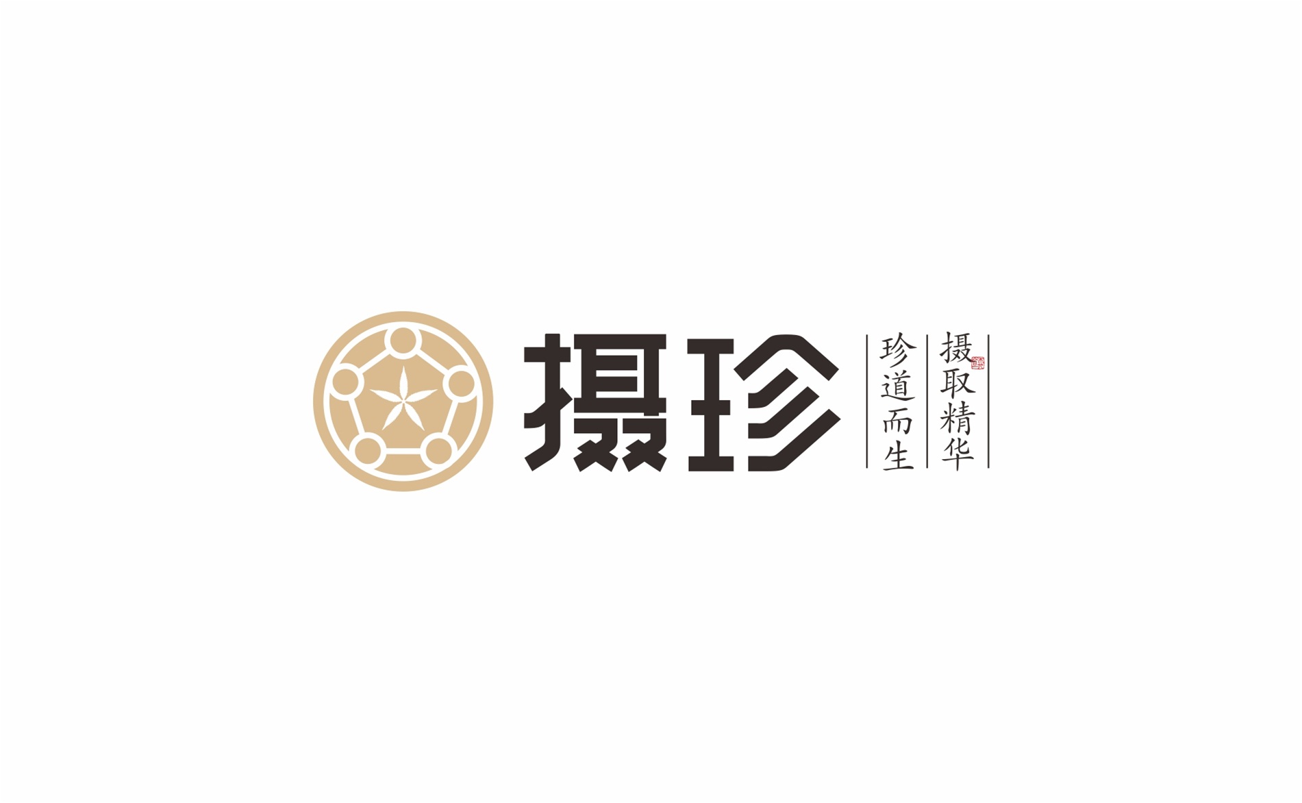 攝珍品牌創(chuàng)建策劃設計logo組合