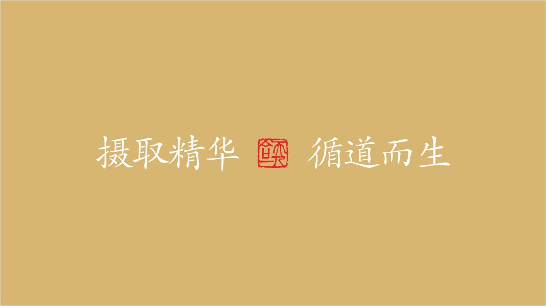 攝珍品牌創(chuàng)建策劃設計廣告語